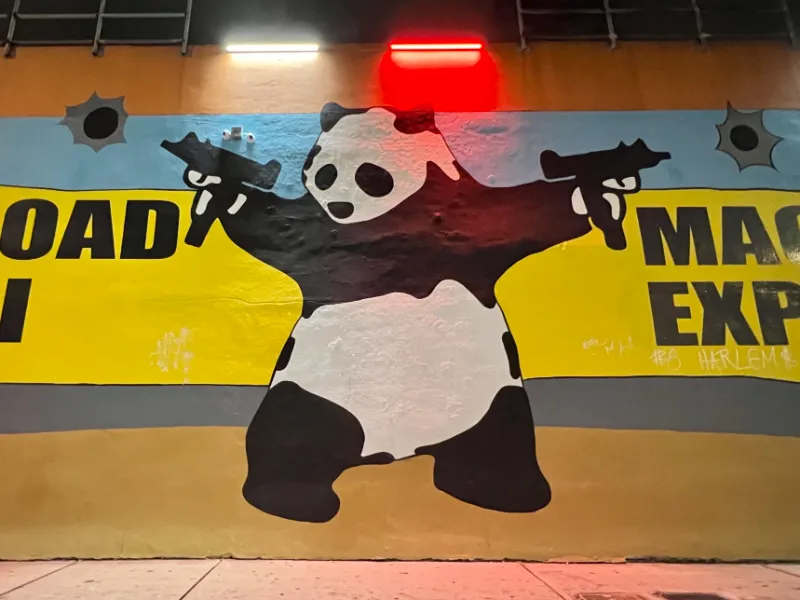 Panda mural on a Wynwood wall at night, Miami
