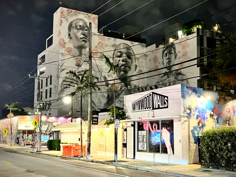 Wynwood Walls entrance and a street art museum under a rose mural at night, Miami